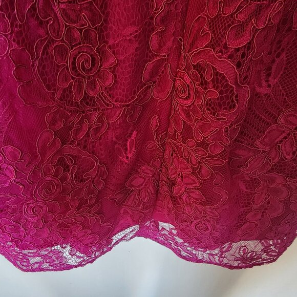 Carmen Marc Volvo fuschia lace dress - Picture 6 of 9